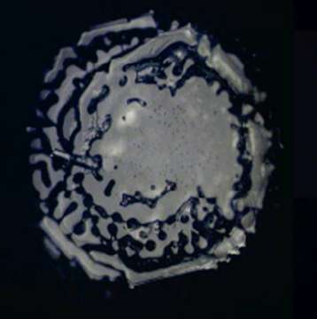 Tap water crystal
