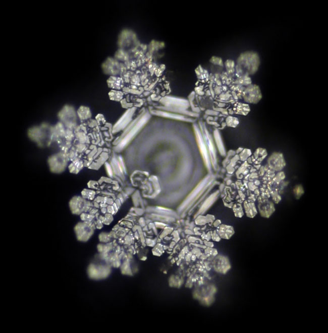 Living water crystal