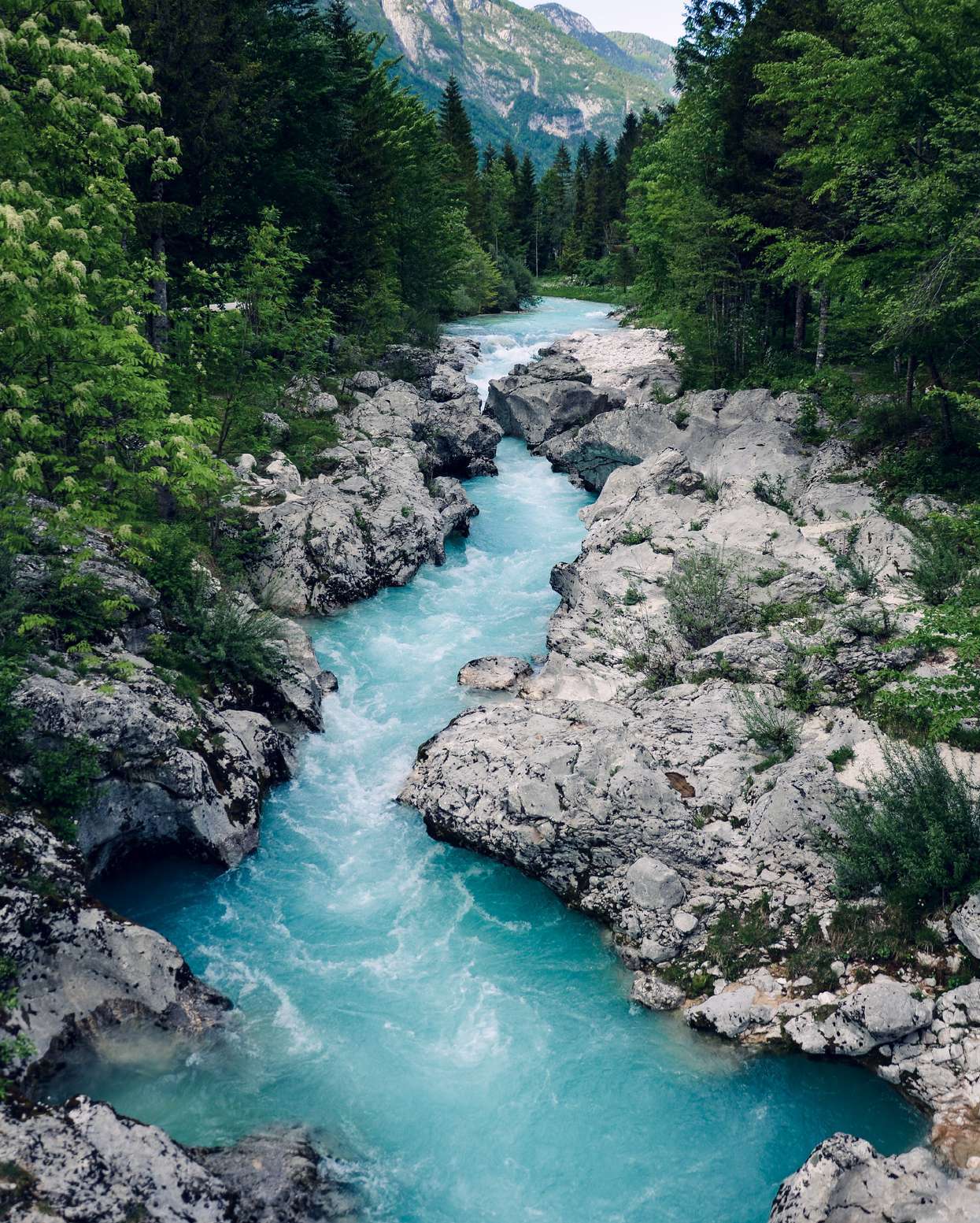 Turquoise spring river
